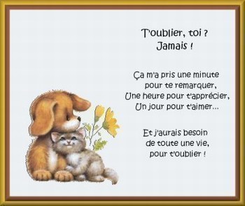 je t 'oublie pa