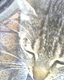 ktita dyaliiiiiiiiiiiiiiiiiiiiiiiiiiiiiiiiiiiiiii