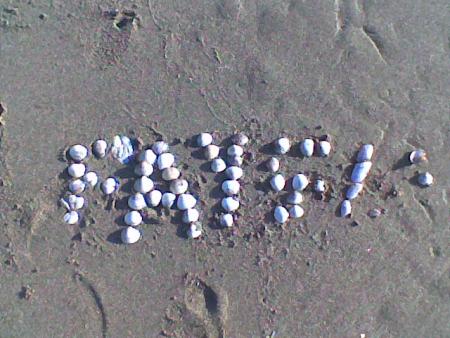 ya plud de coquillage pout t�rmin� fay�al lol mdr