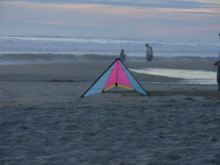  Que l'Amour Est Violent