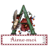 essay� de me montr� que tu le fais